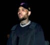 Chris Brown entra em cena e evita briga maior entre os filhos de Diddy e Ray J, aponta o TMZ