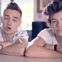 Harry Styles e Liam Payne, do One DIrection, sorteiam encontro com fã em Londres