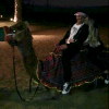 Wesley Safadão anda de camelo em viagem a Dubai com a mulher, nesta quarta-feira, 17 de fevereiro de 2016