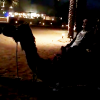 Wesley Safadão anda de camelo em viagem a Dubai com a mulher, nesta quarta-feira, 17 de fevereiro de 2016