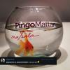 Sophia Mattar postou foto de um aquário com um peixe dourado, presente de Alexandre Pato