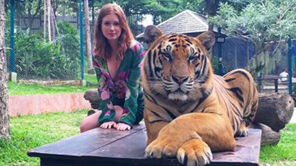 Marina Ruy Barbosa rebate críticas após fotos com tigre: 'Não são dopados!'