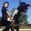Paula Fernandes leva mordida de cavalo e compartilha vídeo em seu Instagram nesta segunda-feira, dia 15 de agosto de 2016