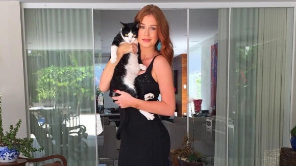 Marina Ruy Barbosa posa com pet e fãs elogiam: 'Uma gata com outro gato'