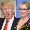 Donald Trump criticou Meryl Streep após o discurso da atriz no Globo de Ouro, neste domingo, 8 de janeiro de 2017