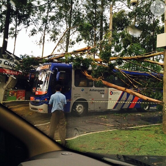 Wanessa Camargo presenciou acidente de dentro do seu carro em São Paulo, na tarde de sexta-feira, 14 de março de 2014. Sob chuva forte, uma árvore caiu em cima de ônibus. 'Cinco minutos de chuva em Barueri! Ninguém machucado! Graças', legendou Wanessa uma foto postada no Instagram