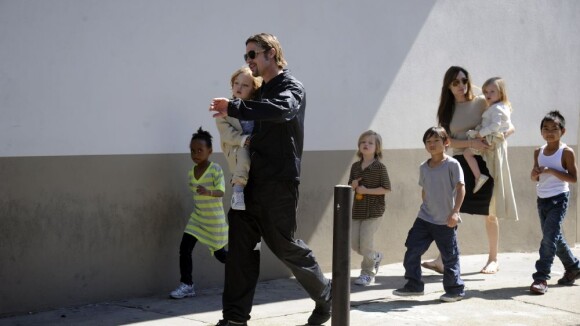 Angelina Jolie estaria grávida de seu sétimo filho com Brad Pitt