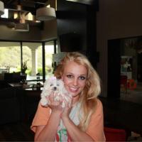Britney Spears apresenta seu novo cãozinho: 'Digam bom dia para meu bebê'