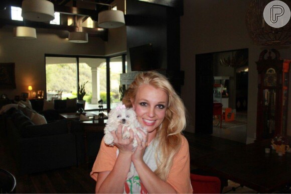 Britney Spears mostrou para seus fãs a nova cadelinha pelo Facebook, nesta sexta-feira, 8 de fevereiro de 2013