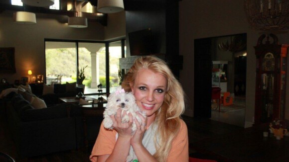 Britney Spears apresenta seu novo cãozinho: 'Digam bom dia para meu bebê'