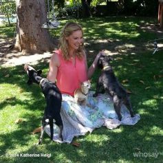Katherine Heigl no Purepeople | Biografia, notícias e ...