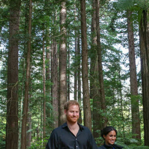 'Meghan vai se deparar com alguma resistência a essa ideia', disse a fonte sobre o conservadorismo da realeza