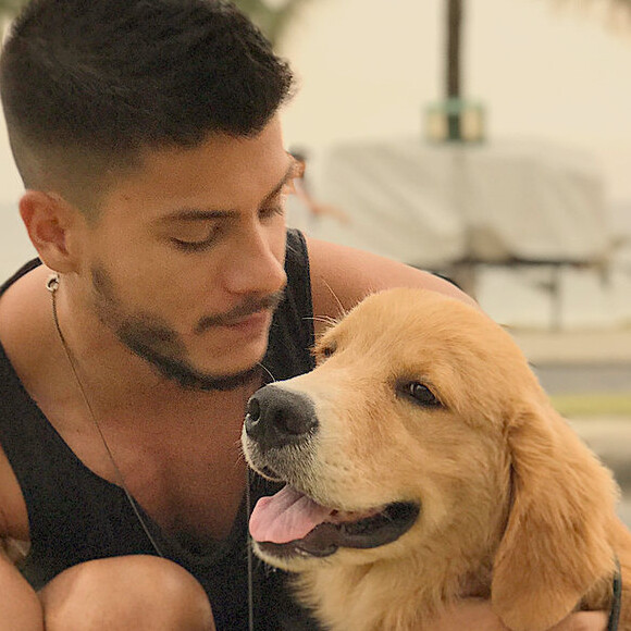 Arthur Aguiar e Mayra Cardi doaram o cachorro após o animal, portador de doença que afeta as articulações, não se adaptar ao piso da casa deles