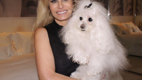Brunete Fraccaroli, do 'Mulheres Ricas', cria Twitter para sua cadelinha, Sissi