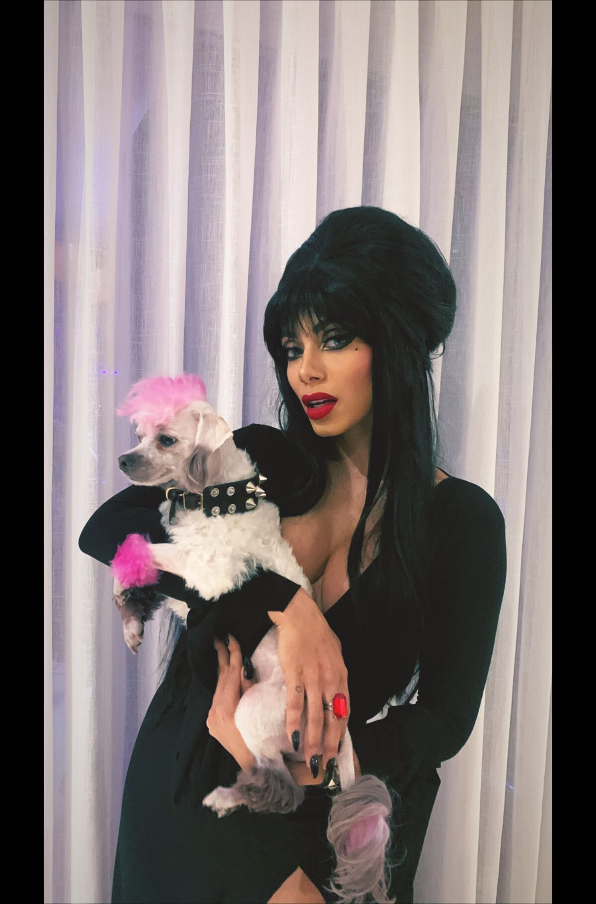 Foto: Anitta se fantasiou de Elvira, a Rainha das Trevas, em festa de  Halloween promovida em sua mansão no Rio de Janeiro, em outubro de 2019 -  Purepeople
