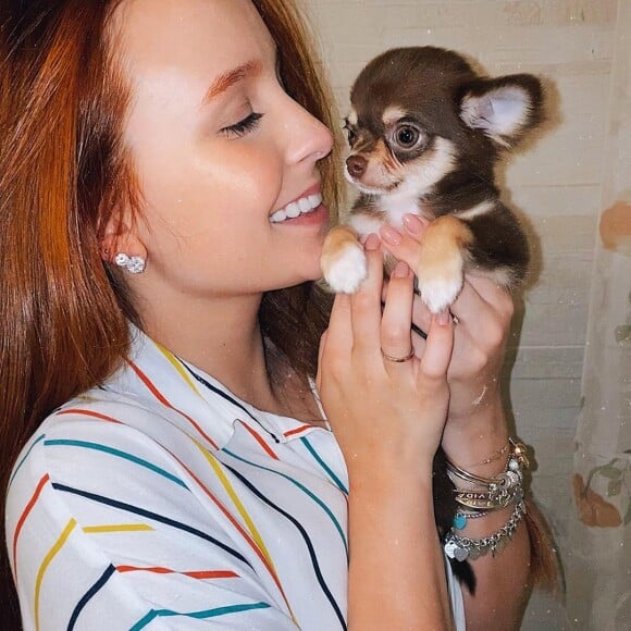 Larissa Manoela apresenta novo pet da família