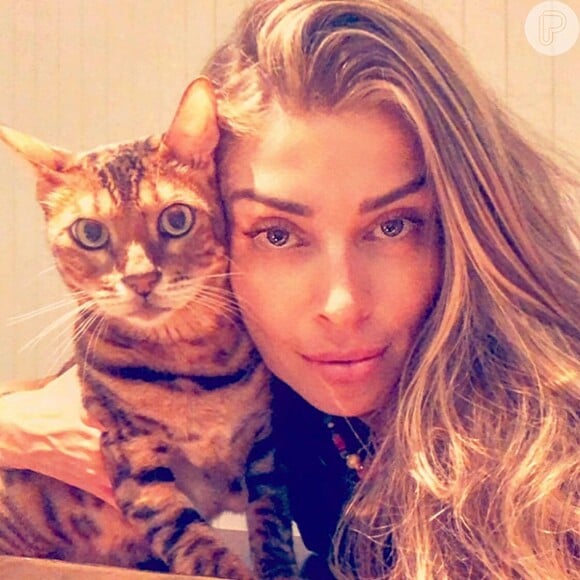Grazi Massafera é apaixonada por gatos. Namorando Caio Castro, a atriz ganhou um novo pet de presente do ator