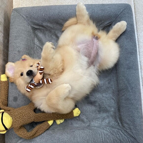 Bruna Marquezine encanta web com fotos da pet Amora