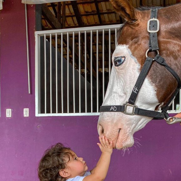 Filho caçula de Wesley Safadão, Dom rouba cena em posts do cantor na web