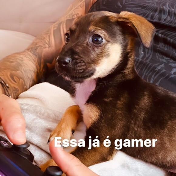 Yasmin Brunet mostra pet no colo de Gabriel Medina: 'Essa já é gamer'