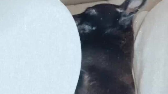 Yasmin Brunet mostra outra filhote de pet adotada dormindo
