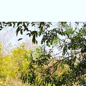 Grazi Massafera posa de biquíni durante viagem