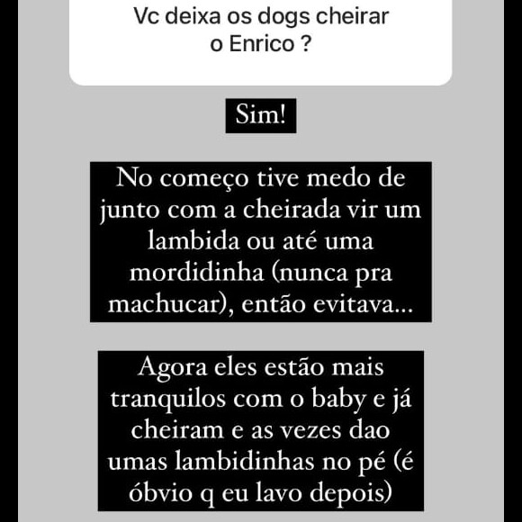 Sthefany Brito detalhou a evolução da relação entre o filho e os cachorros