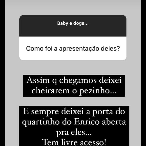 Sthefany Brito descreve relação entre filho e cachorros