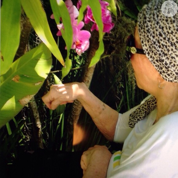 Xuxa Meneghel usou sua conta no Instagram para publicar foto da mãe, Dona Alda, cuidando do jardim de sua casa