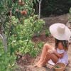 A casa de Giovanna Ewbank e Bruno Gagliasso em Portugal tem jardim com árvores frutíferas
