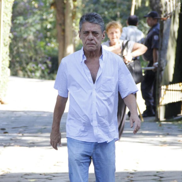 Atual mulher de Chico Buarque, Carol Proner tem 30 anos a menos que o cantor