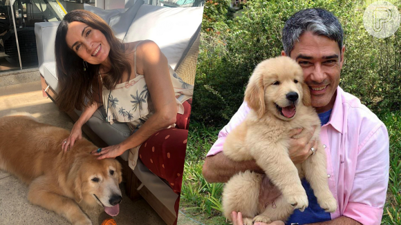 Fátima Bernardes e William Bonner lamentaram a morte de cachorro da família nas redes sociais