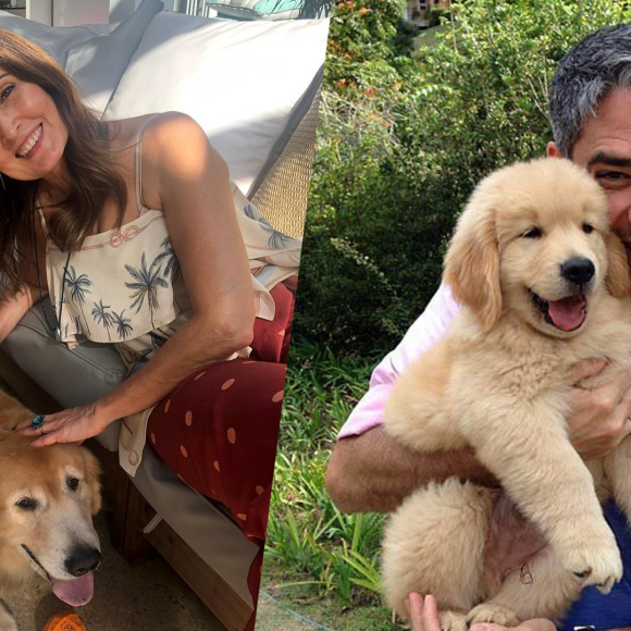 Fátima Bernardes e William Bonner lamentaram a morte de cachorro da família nas redes sociais