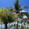 Andressa Suita mostrou vista de hotel paradisíaco na Bahia. Especula-se que eles estejam hospedados na Praia do Forte