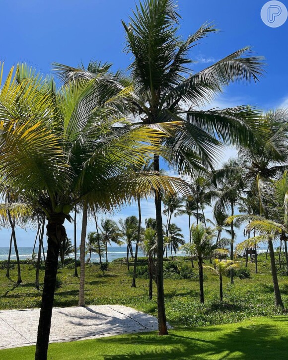 Andressa Suita mostrou vista de hotel paradisíaco na Bahia. Especula-se que eles estejam hospedados na Praia do Forte