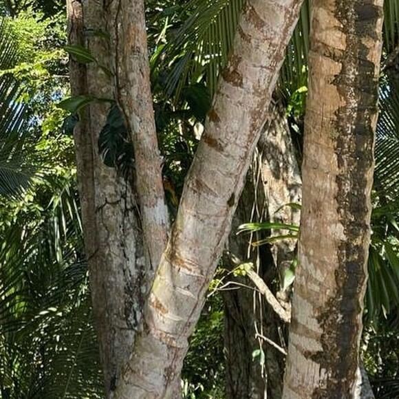 Corpo de Angélica é exaltado em foto de biquíni