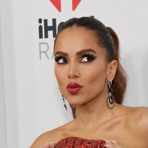 Anitta também teria desenhado uma flor na região genital