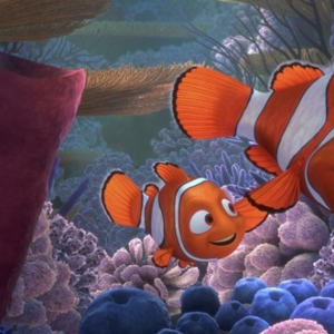 Procurando Nemo conta a história de um pai que cruza os sete mares em busca do filho, que foi capturado por um mergulhador
