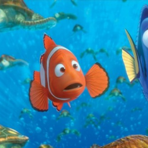 Procurando Nemo: em busca do filho, Marlin conhece Dory, que se torna sua amiga e fiel escudeira