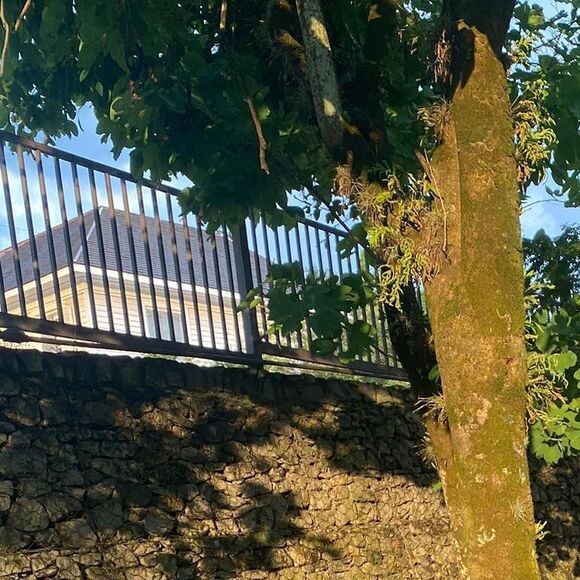 Nilo surgiu na grande mídia pela primeira vez no ano passado, quando recebeu um comentário, no mínimo, sugestivo de Anitta: 'Já fez 18?'