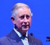 Príncipe Charles, agora Rei Charles III, lamentou a morte da Rainha Elizabeth II em comunicado