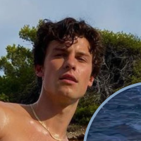 Shawn Mendes mergulha em rio gelado só de cueca e surpreende web com 'mala' volumosa: 'Nesse frio e tava pesada'. Vídeo!