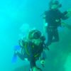 Roberto Justus e Ana Paula Siebert mergulharam no mar do Caribe mexicano