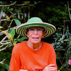 Rita Lee ganhou mensagens carinhosas dos fãs, em rede social