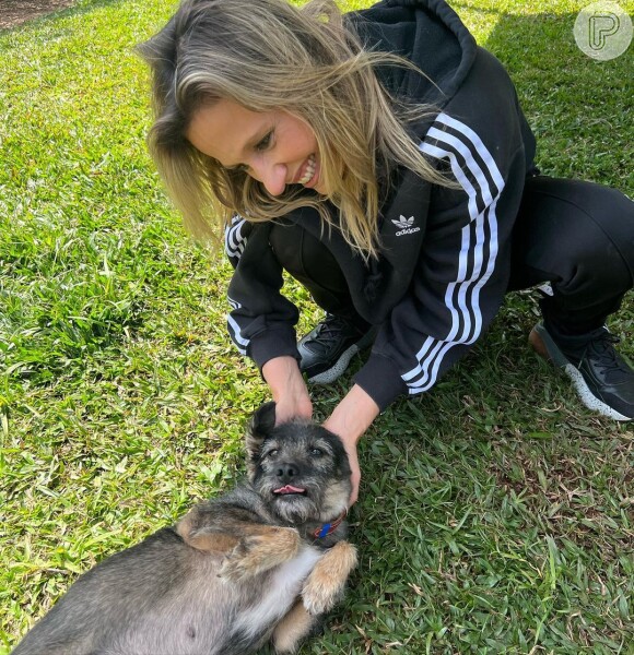 Luisa Mell é uma das principais ativistas da causa animal do Brasil