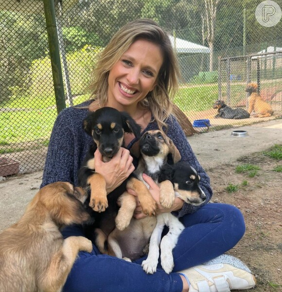 Luisa Mell constantemente é assunto por suas lutas pelos animais