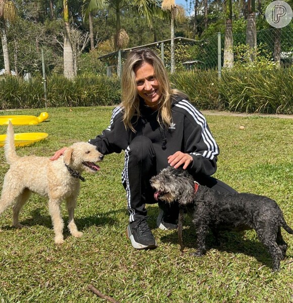 Luisa Mell foi envolvida em uma polêmica com um instituto