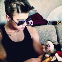 Justin Bieber tem macaco de estimação apreendido por autoridades na Alemanha