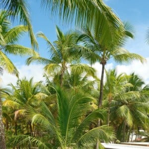 Grazi Massafera e Marlon Teixeira aproveitam viagem à Bahia em hotel composto por 14 villas situadas em frente à Praia de Taipu de Fora