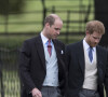 Príncipe Harry telefonou para Príncipe William para discutir sua volta ao Reino Unido